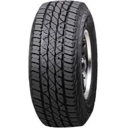 297623066.webp