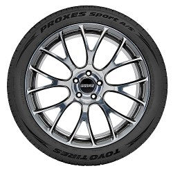 300358533.jpg