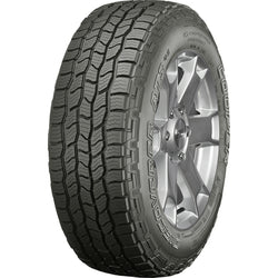 302282921.jpg