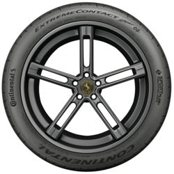 302317203.jpg