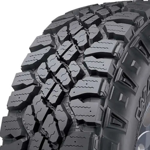 303085668.webp