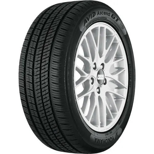 303088808.webp
