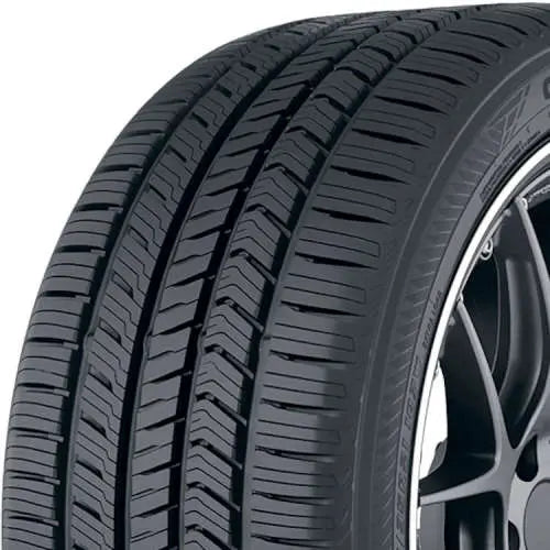 303094580.webp
