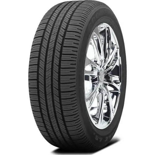 303117294.webp
