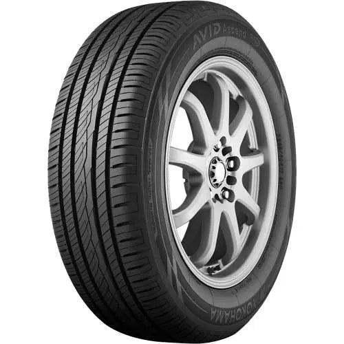 303127747.webp