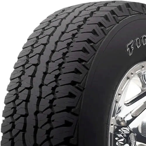 303133169.webp