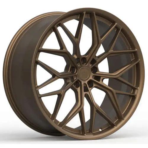303347207.webp