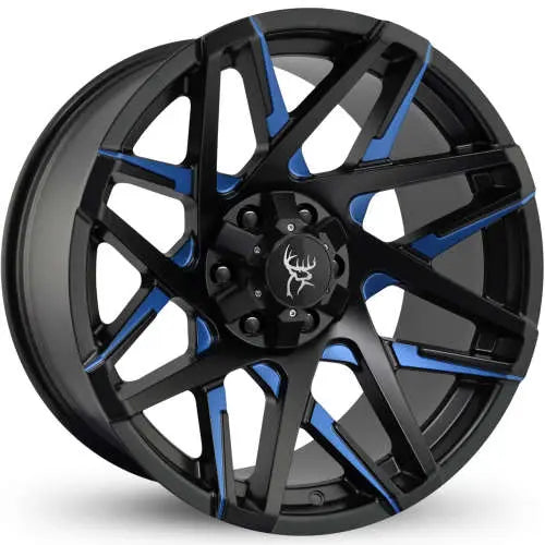 303489824.webp
