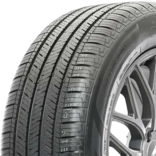 310049871.webp