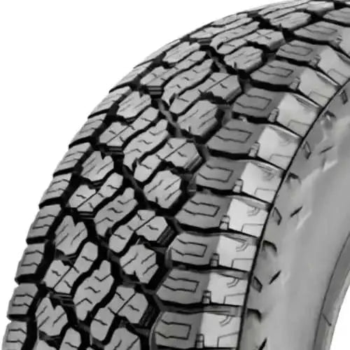 c77de1e71926fa611d4fe0e8a9d007f0.webp