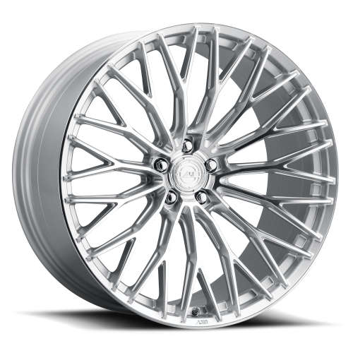 fr100_diamondsilver_white.jpg