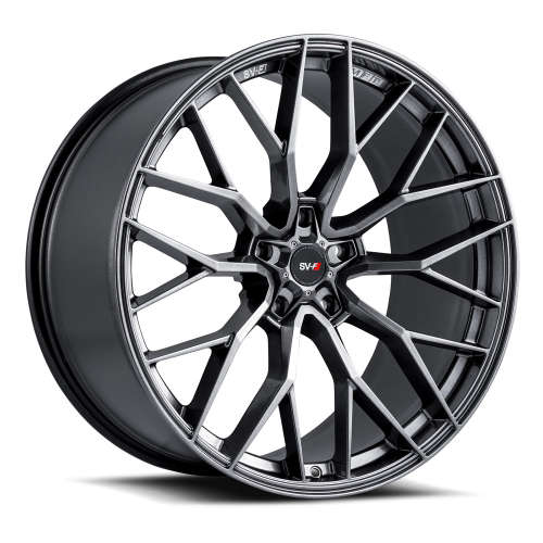 svf2_gray_white.jpg